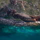 A bleached portion of the Great Barrier Reef, photographed during a March 2016 survey. Image: ARC Centre of Excellence for Coral Reef Studies.